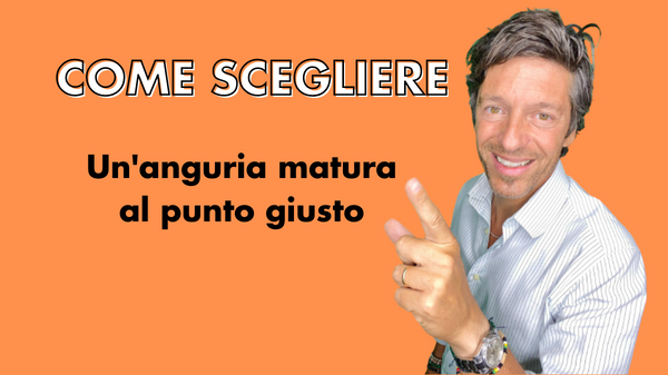 foto editoriale md 600 x 337 px 3 2 png