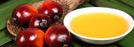 olio palma 1 jpg
