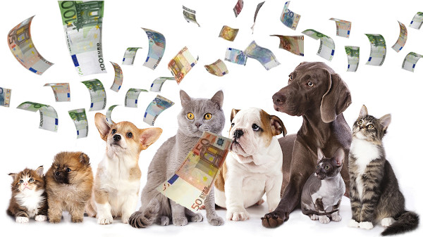 unc cani gatti eredita jpg