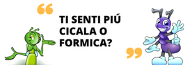 unc cicala formica evidenza png