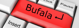 bufala segnalazioni png
