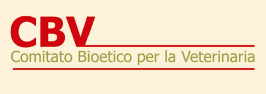 cbv png