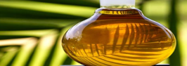 olio di palma png