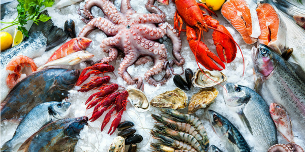 pesce surgelato png