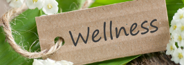wellness png