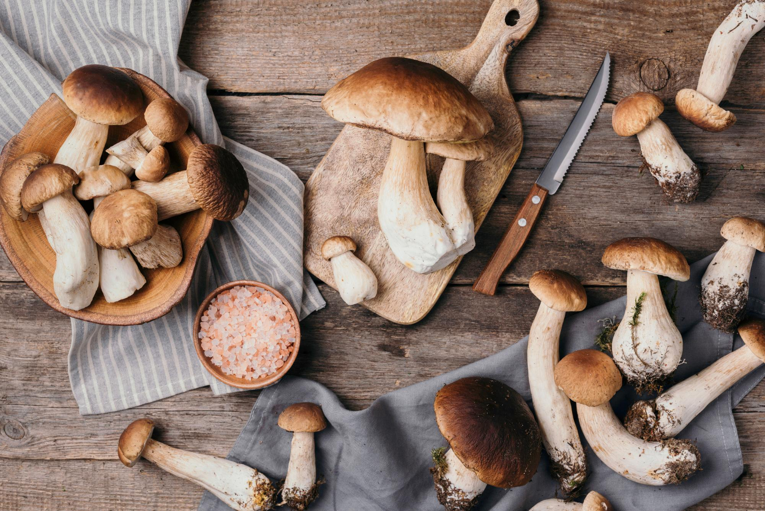 frodi funghi
