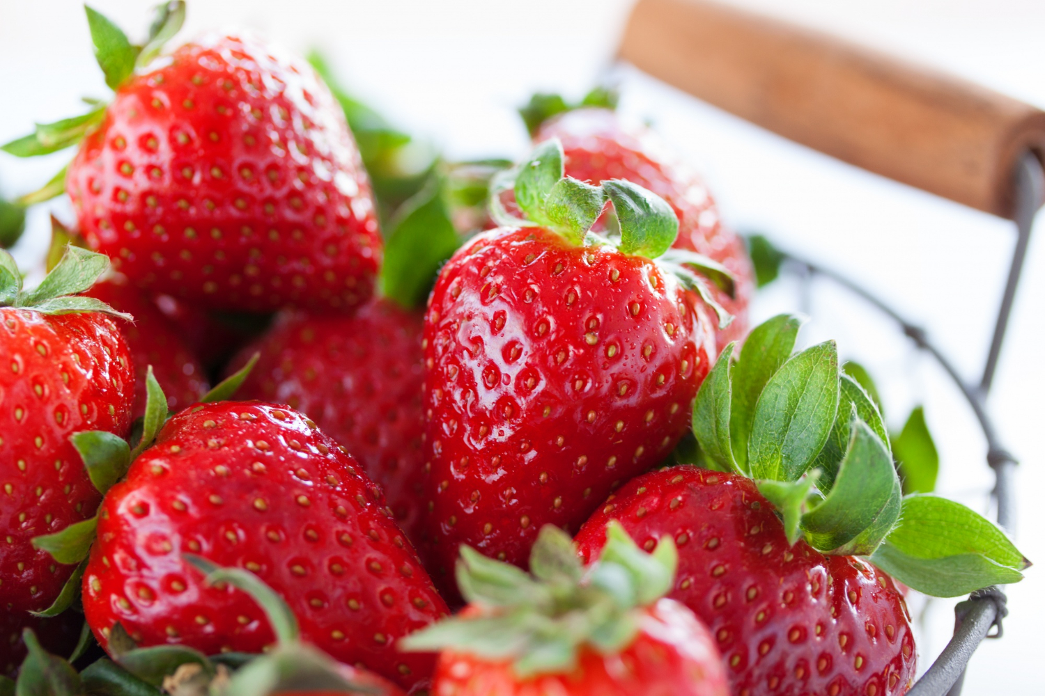 fragole